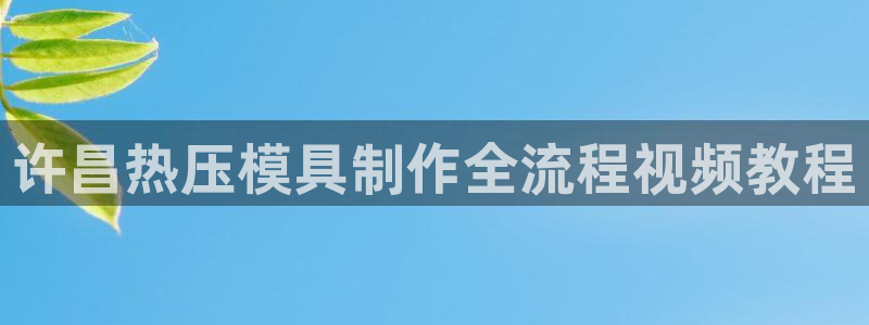 易倍达科技有限公司代运营