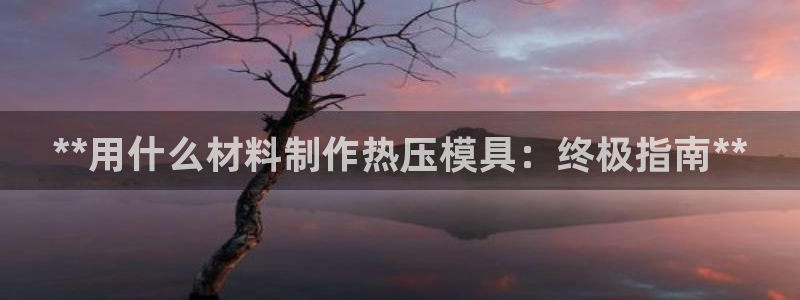 易倍单词app