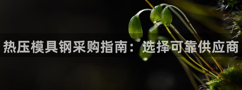 易倍网络技术有限公司