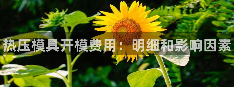 易倍申多少钱一盒
