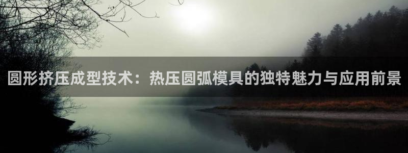 易倍申安理申区别