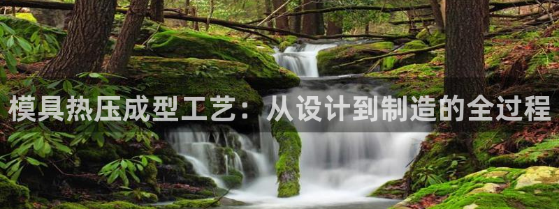 易倍申多少钱一盒