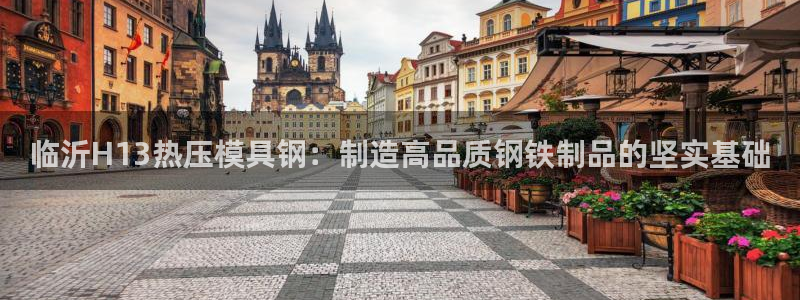 易倍企业管理软件怎么样：临沂H13热压模具钢：制造高品质