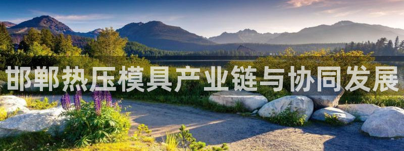 易倍申是进口药吗：邯郸热压模具产业链与协同发展