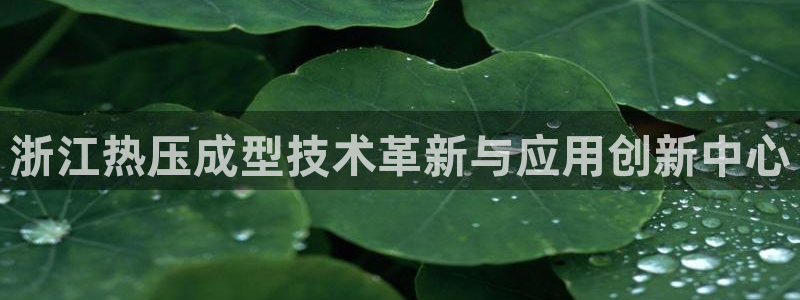 emc网页版：浙江热压成型技术革新与应用创新中心