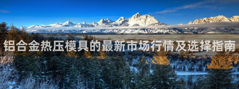 易倍康简历：铝合金热压模具的最新市场行情及选择指南