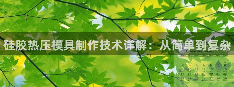 易倍康简历：硅胶热压模具制作技术详解：从简单到复杂