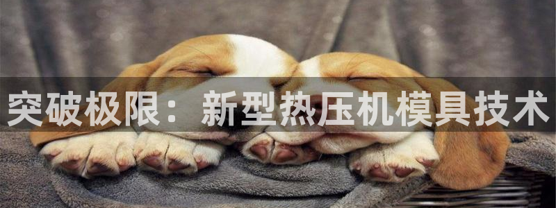 emc服务器是干啥的