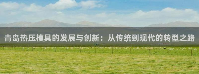 易倍网络技术有限公司是干嘛的：青岛热压模具的发展与创新：