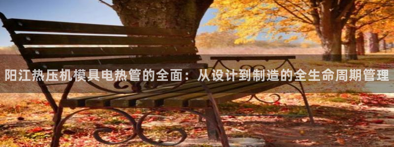 易倍申可以长期服用吗：阳江热压机模具电热管的全面：从设计