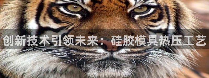 EMC易倍官方平台：创新技术引领未来：硅胶模具热压工艺