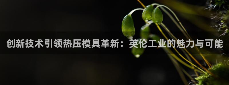 易倍申片：创新技术引领热压模具革新：英伦工业的魅力与可能