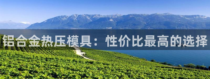 EMC倍频系数：铝合金热压模具：性价比最高的选择