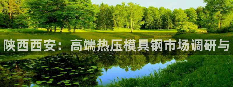 emc易倍官网app下载：陕西西安：高端热压模具钢市场调