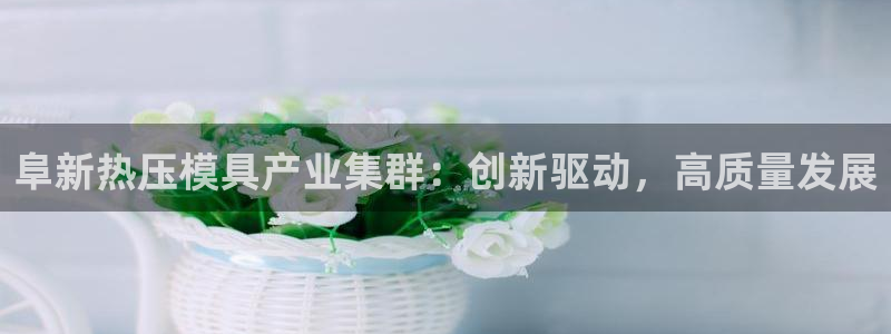 易倍思怎么样：阜新热压模具产业集群：创新驱动，高质量发展