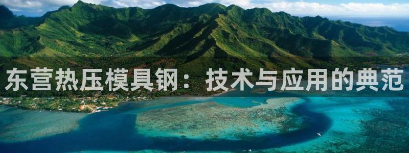 易倍纤能减肥吗：东营热压模具钢：技术与应用的典范