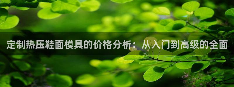 易倍网络技术有限公司