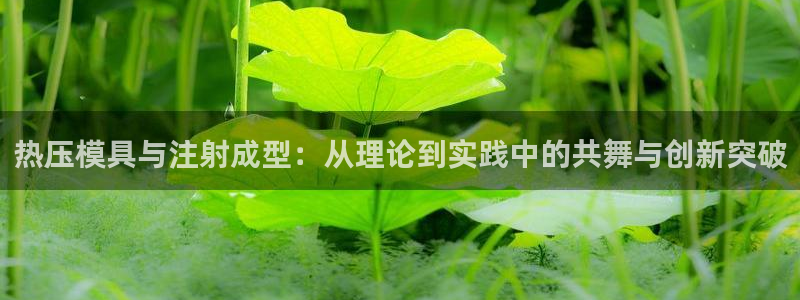 易倍网络技术有限公司是干嘛的：热压模具与注射成型：从理论