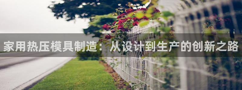 易倍纤奶昔减肥效果怎么样：家用热压模具制造：从设计到生产