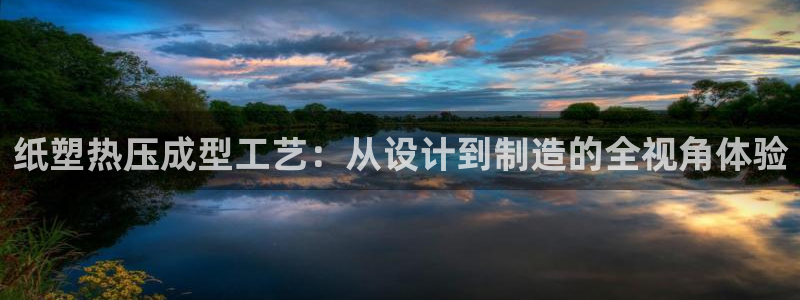 易倍申安理申区别：纸塑热压成型工艺：从设计到制造的全视角
