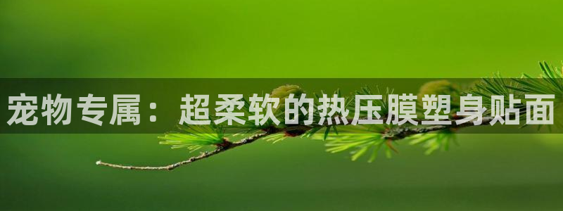 emc易倍官网登录入口：宠物专属：超柔软的热压膜塑身贴面