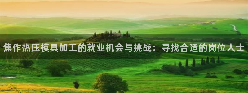易倍申怎么样：焦作热压模具加工的就业机会与挑战：寻找合适