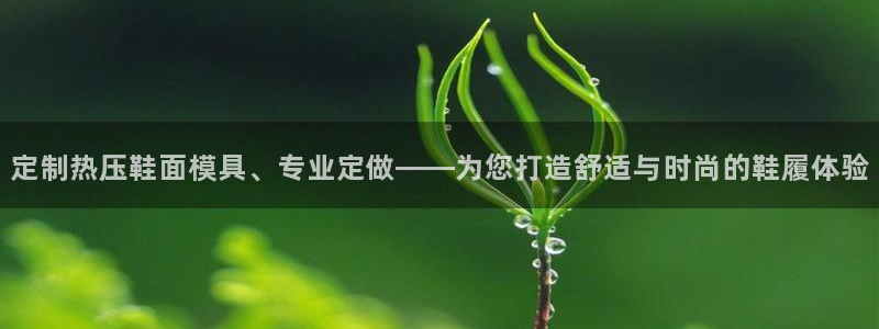 emc易倍官网首页进入：定制热压鞋面模具、专业定做——为