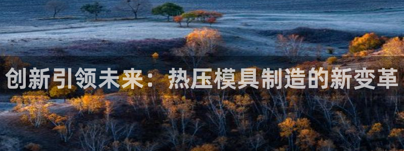 易倍申片的功效与作用：创新引领未来：热压模具制造的新变革