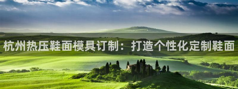 易倍申服用方法：杭州热压鞋面模具订制：打造个性化定制鞋面