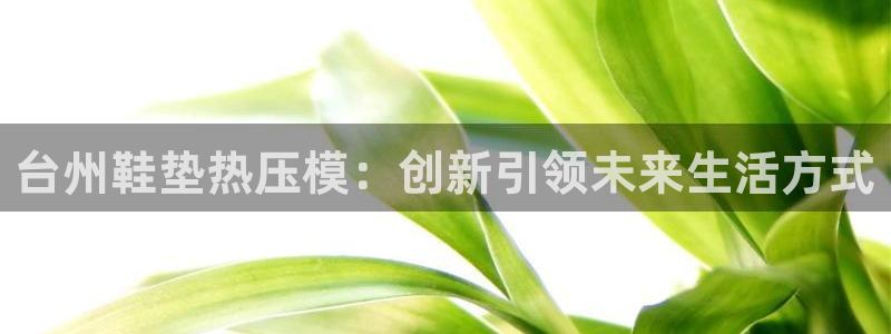 emc网页版：台州鞋垫热压模：创新引领未来生活方式