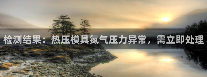 易倍达科技有限公司怎么样：检测结果：热压模具氮气压力异常