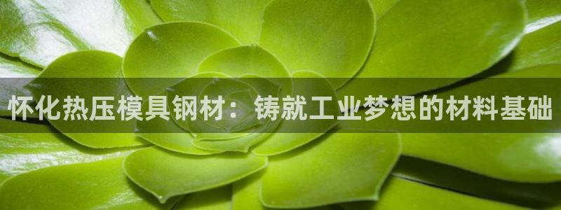 易倍达科技有限公司怎么样