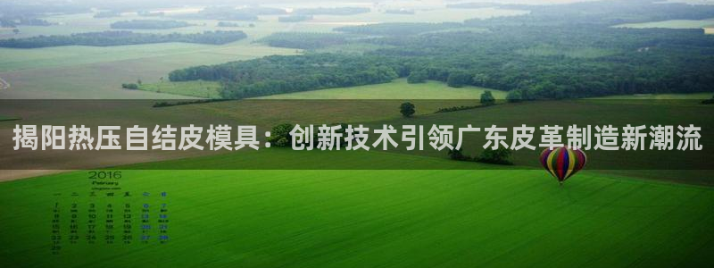 易倍申有用吗：揭阳热压自结皮模具：创新技术引领广东皮革制