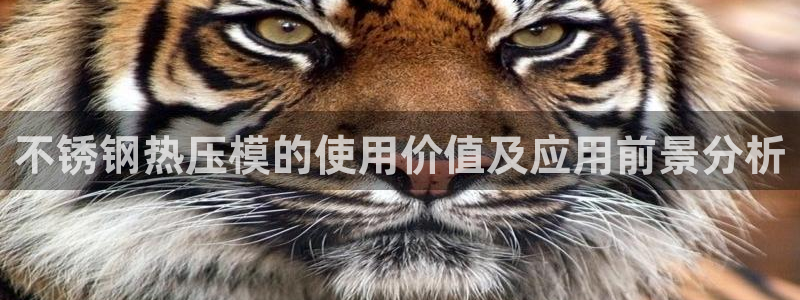 易倍单词官方网站登录：不锈钢热压模的使用价值及应用前景分