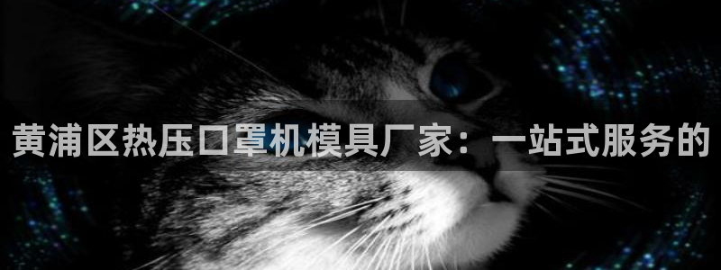 EMC易倍官网招聘:黄浦区热压口罩机模具厂家:一站式服务