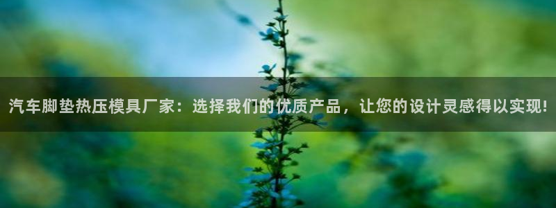 易倍企业管理软件：汽车脚垫热压模具厂家：选择我们的优质产