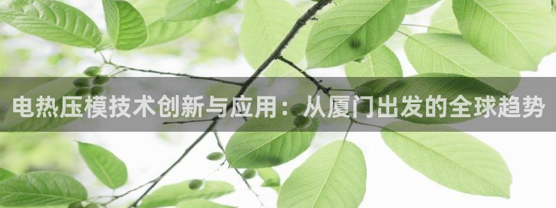 emc易倍是黑台子吗：电热压模技术创新与应用：从厦门出发