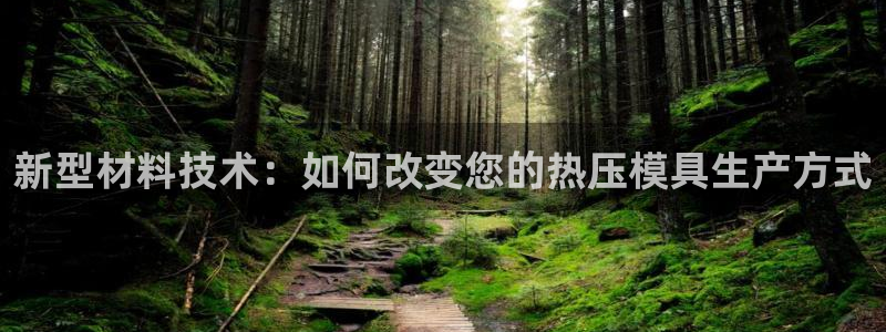易倍纤减肥反弹不：新型材料技术：如何改变您的热压模具生产