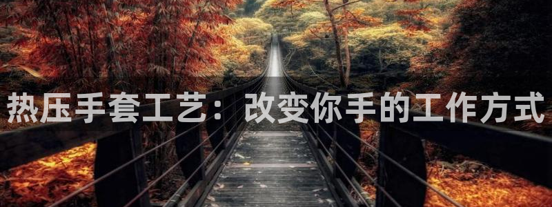 易倍申竞品：热压手套工艺：改变你手的工作方式