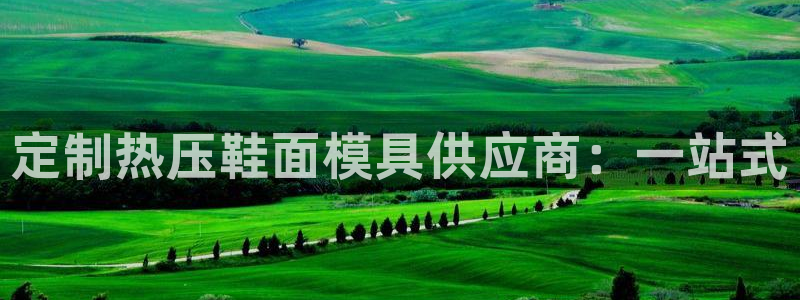 emc易倍首页：定制热压鞋面模具供应商：一站式