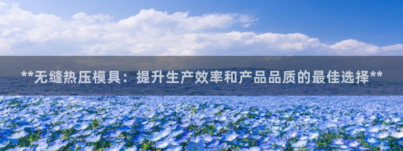 易倍思机电制造(上海)有限公司：**无缝热压模具：提升生