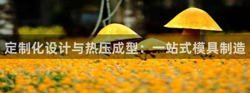 易倍申价格是多少：定制化设计与热压成型：一站式模具制造