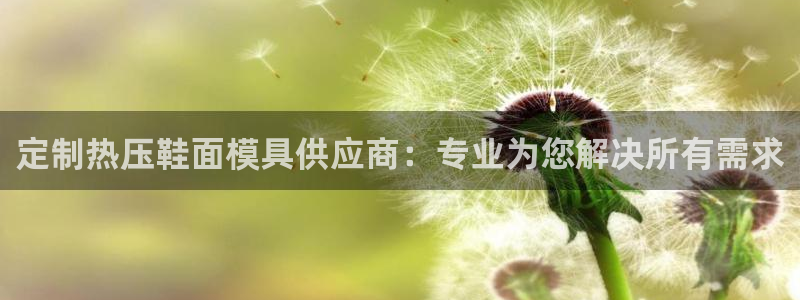 emc倍频只能是奇数倍吗：定制热压鞋面模具供应商：专业为