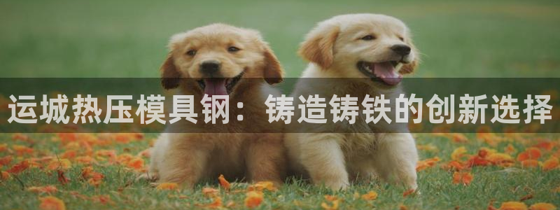 易倍电竞,有球必应：运城热压模具钢：铸造铸铁的创新选择
