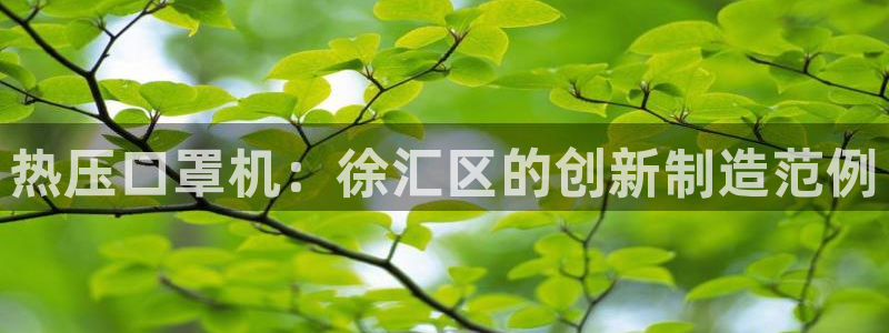 易倍emc全站：热压口罩机：徐汇区的创新制造范例