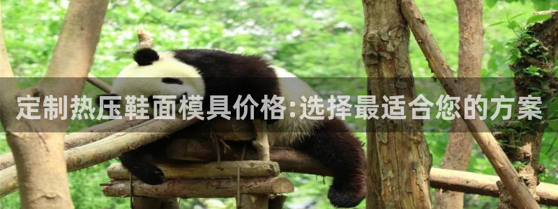 易倍思机电制造(上海)有限公司：定制热压鞋面模具价格:选