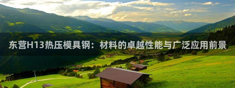 emc低频不过：东营H13热压模具钢：材料的卓越性能与广