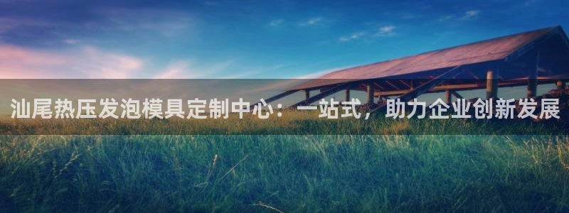 易倍单词官方网站下载安卓：汕尾热压发泡模具定制中心：一站