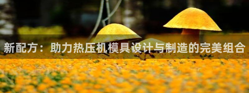 易倍申可以长期服用吗:新配方:助力热压机模具设计与制造的