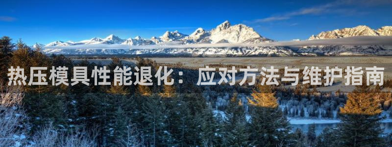 杭州易倍达上班怎么样：热压模具性能退化：应对方法与维护指